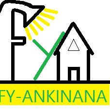 Fy Ankinana